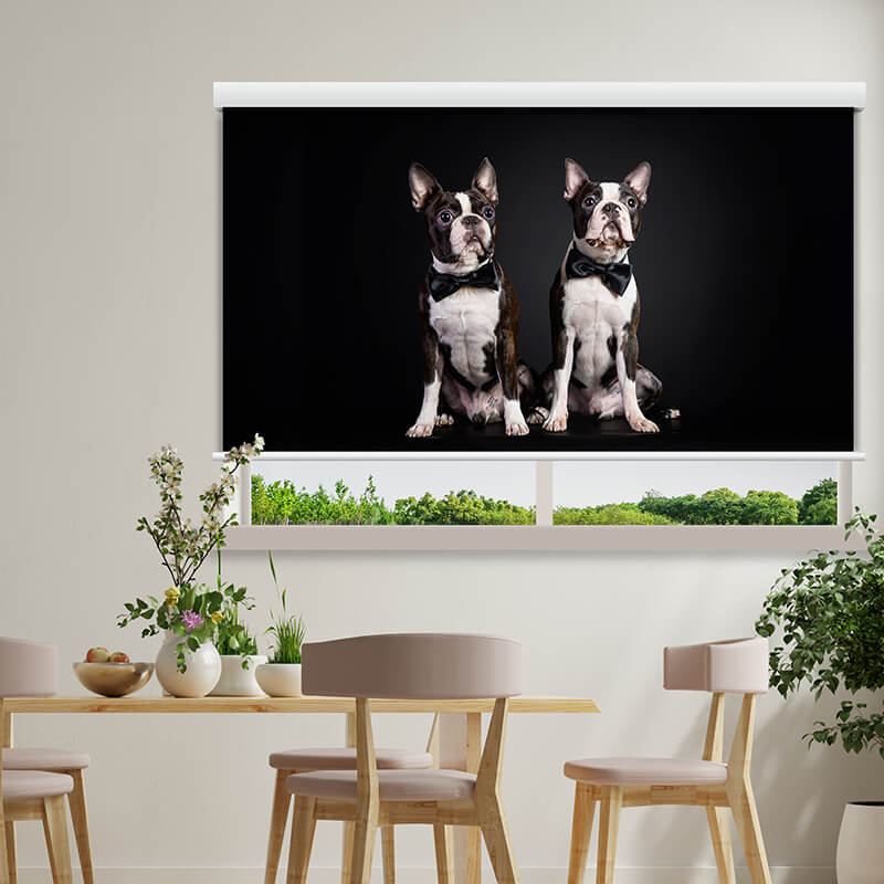 Printed Animal Blinds - Dog - Chennai Blinds