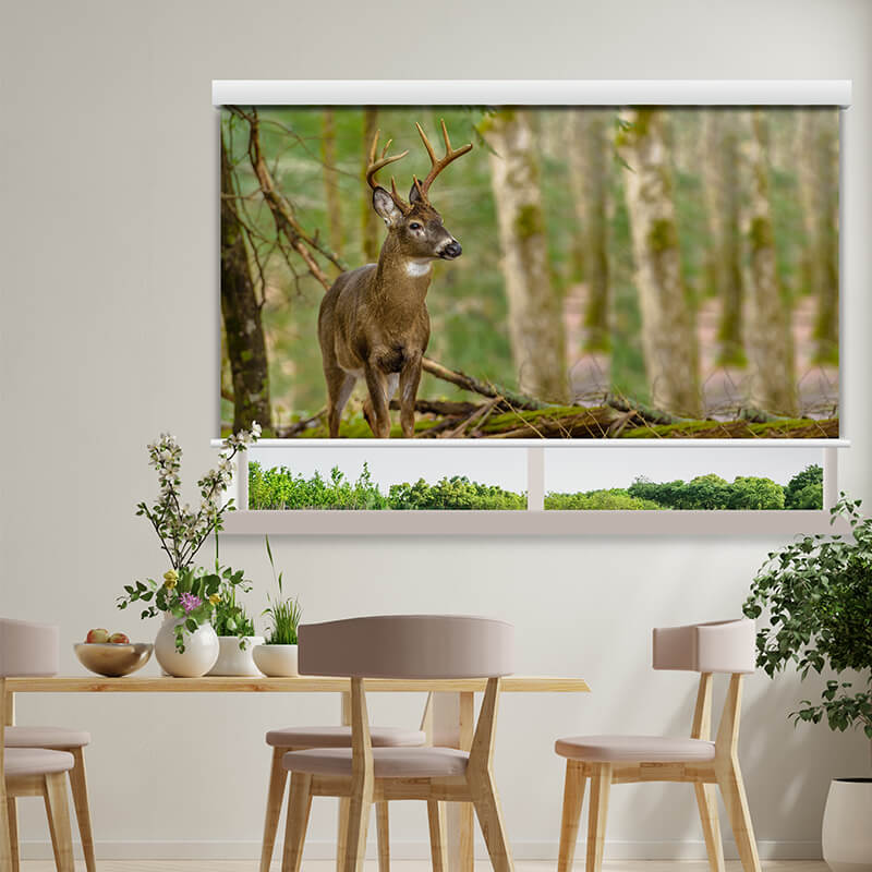 Printed Animal Blinds - Reindeer - Chennai Blinds